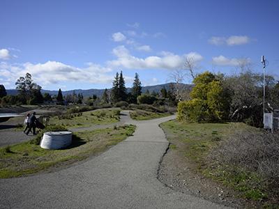 Los Gatos Creek County Park