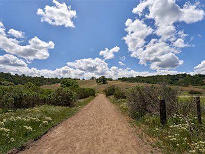 Calero County Park and Reservoir