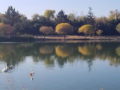 Coyote Creek Trail