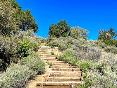 Guadalupe Oak Grove Park