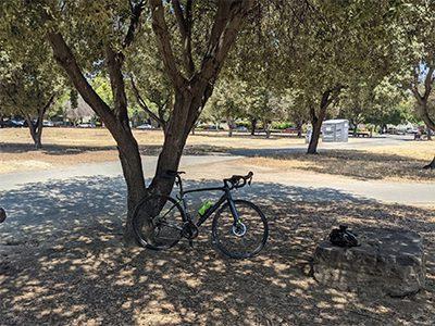 Penitencia Creek County Park