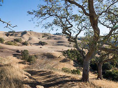 Sierra Vista Open Space Preserve